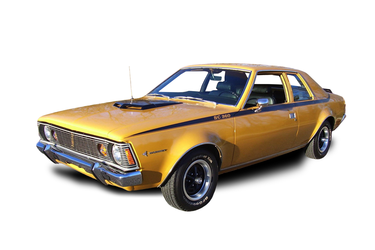 Hornet